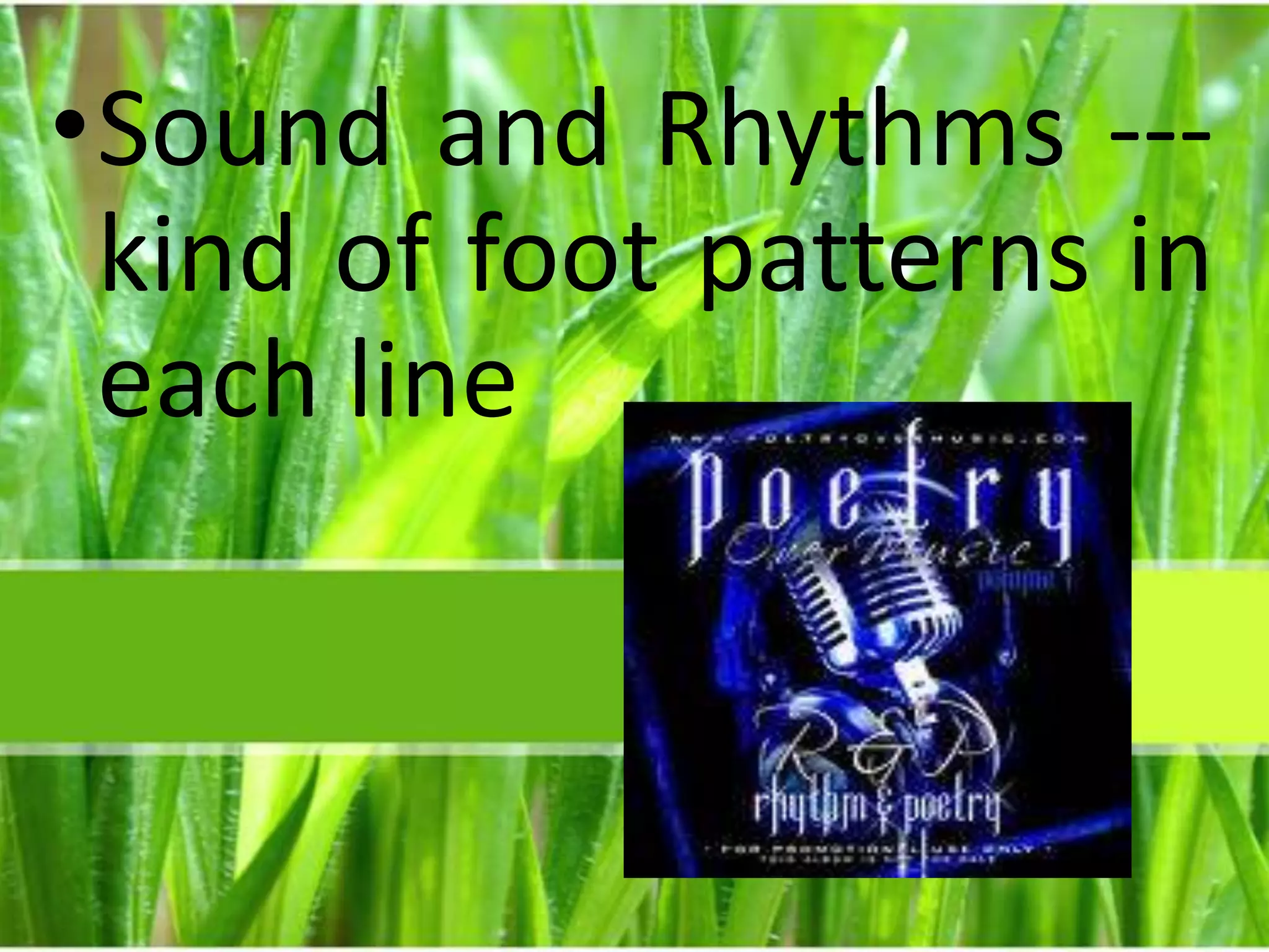 Sound and Rhythms --- kind of foot patterns in each line