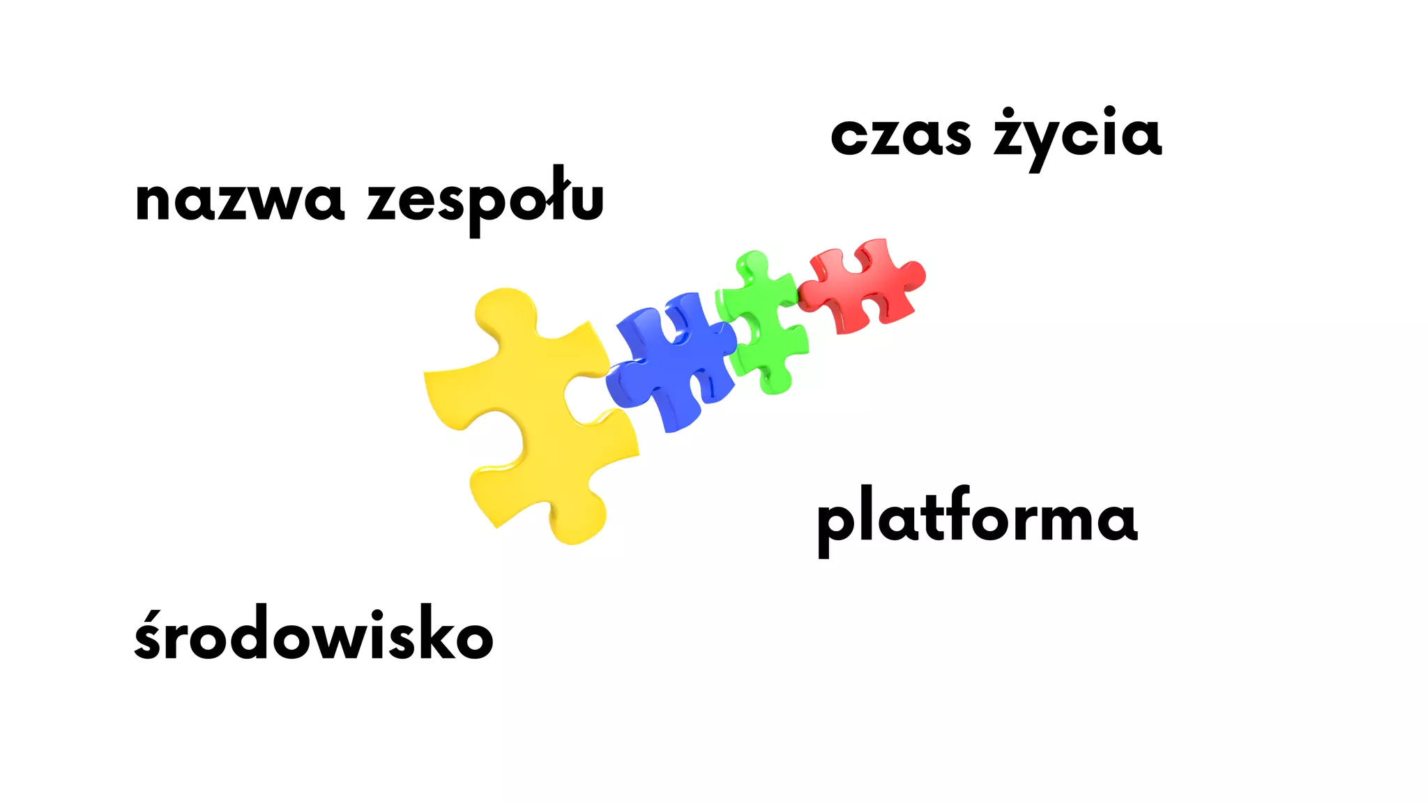 nazwa zespołu
środowisko
czas życia
platforma
 