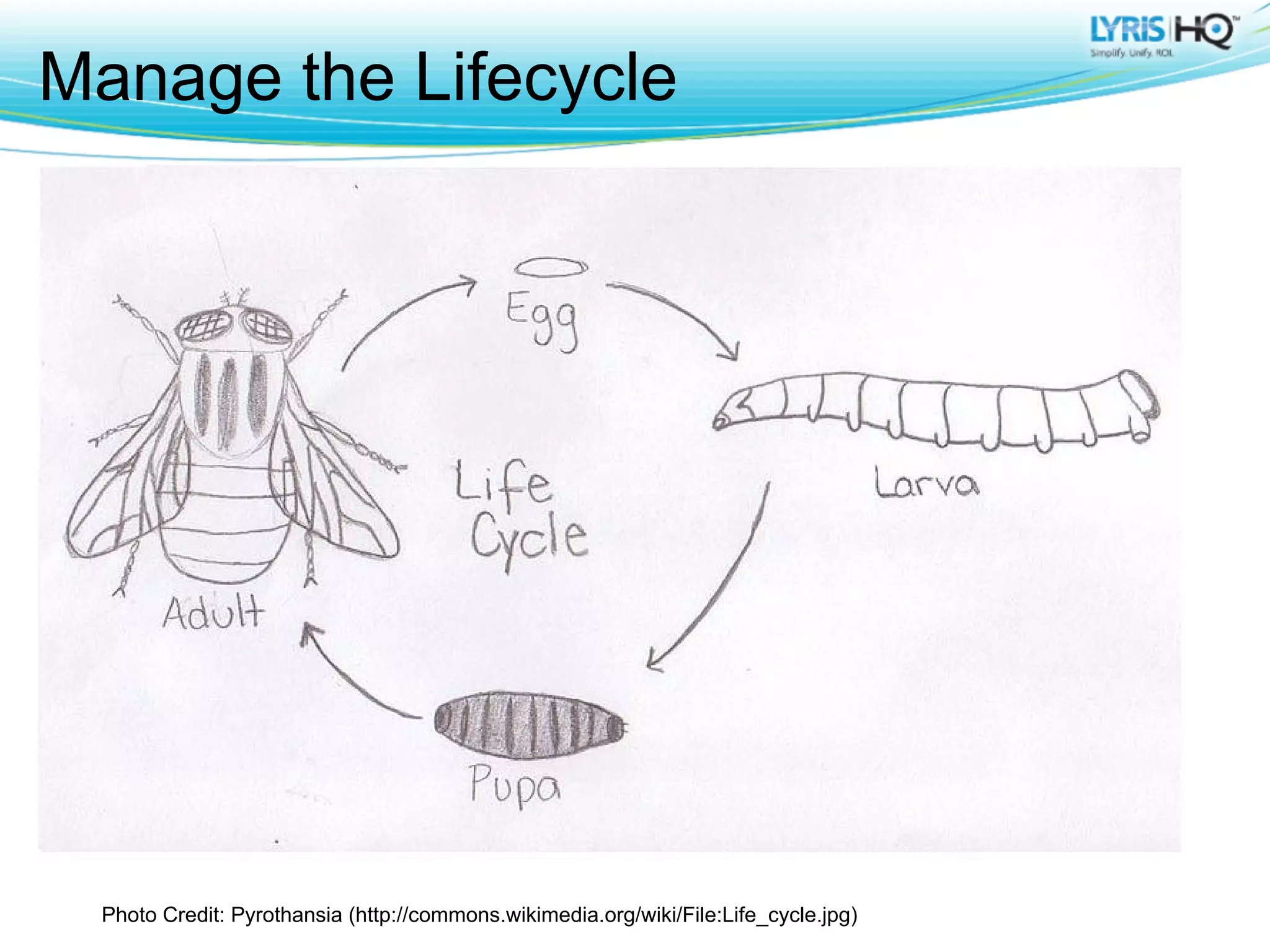 Manage the Lifecycle




 Photo Credit: Pyrothansia (http://commons.wikimedia.org/wiki/File:Life_cycle.jpg)
 