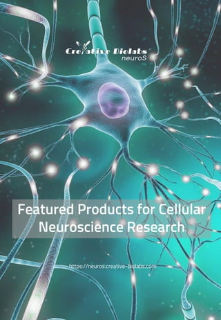 https://neuros.creative-biolabs.com
Featured Products for Cellular
Neuroscience Research
 