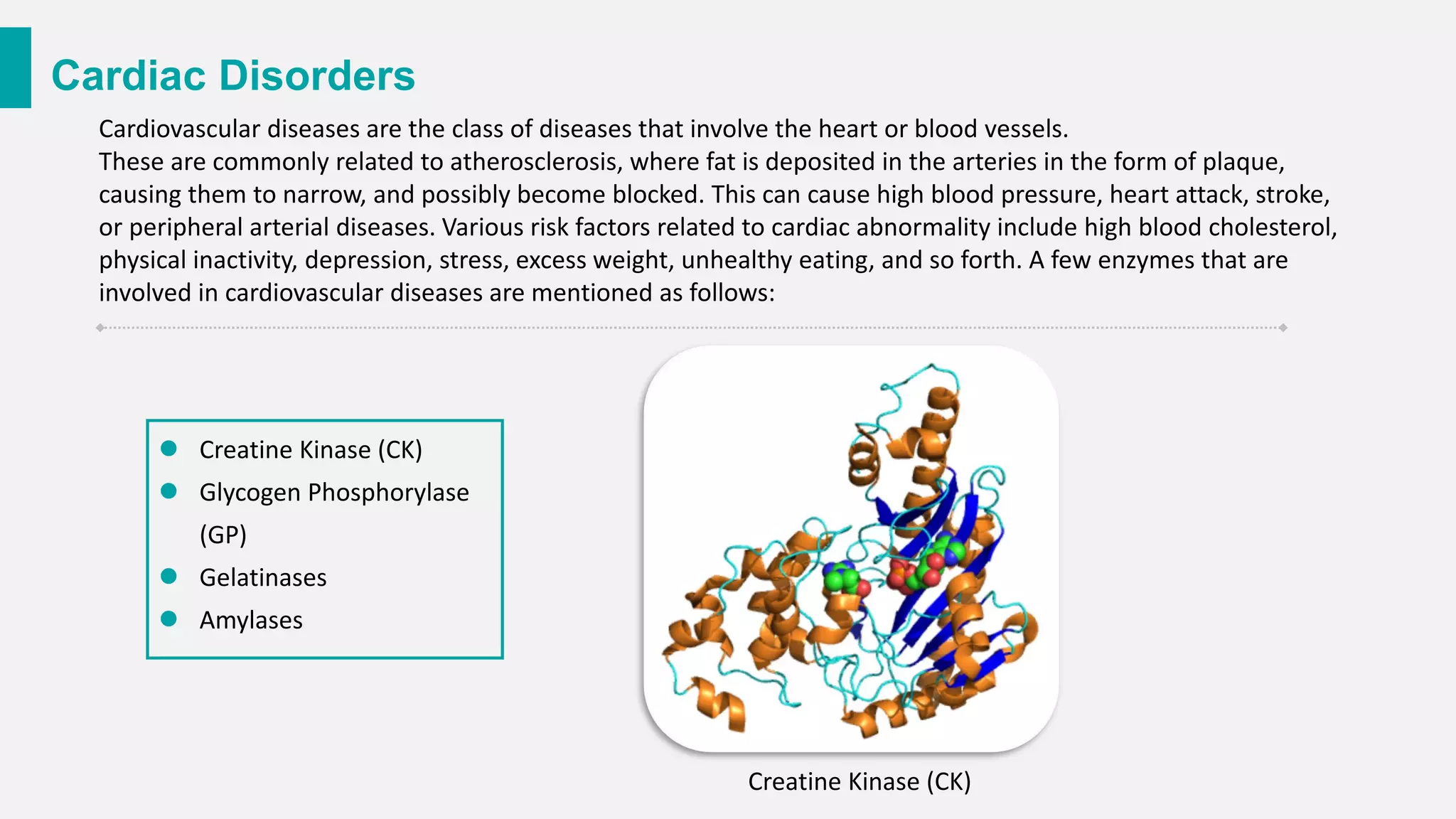 Cardiac Disorders
Cardiovascular diseases are the class of diseases that involve the heart or blood vessels.
These are commonly related to atherosclerosis, where fat is deposited in the arteries in the form of plaque,
causing them to narrow, and possibly become blocked. This can cause high blood pressure, heart attack, stroke,
or peripheral arterial diseases. Various risk factors related to cardiac abnormality include high blood cholesterol,
physical inactivity, depression, stress, excess weight, unhealthy eating, and so forth. A few enzymes that are
involved in cardiovascular diseases are mentioned as follows:
⚫ Creatine Kinase (CK)
⚫ Glycogen Phosphorylase
(GP)
⚫ Gelatinases
⚫ Amylases
Creatine Kinase (CK)
 