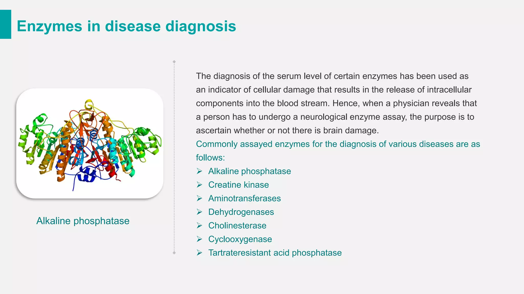 Enzymes in disease diagnosis
The diagnosis of the serum level of certain enzymes has been used as
an indicator of cellular damage that results in the release of intracellular
components into the blood stream. Hence, when a physician reveals that
a person has to undergo a neurological enzyme assay, the purpose is to
ascertain whether or not there is brain damage.
Commonly assayed enzymes for the diagnosis of various diseases are as
follows:
➢ Alkaline phosphatase
➢ Creatine kinase
➢ Aminotransferases
➢ Dehydrogenases
➢ Cholinesterase
➢ Cyclooxygenase
➢ Tartrateresistant acid phosphatase
Alkaline phosphatase
 