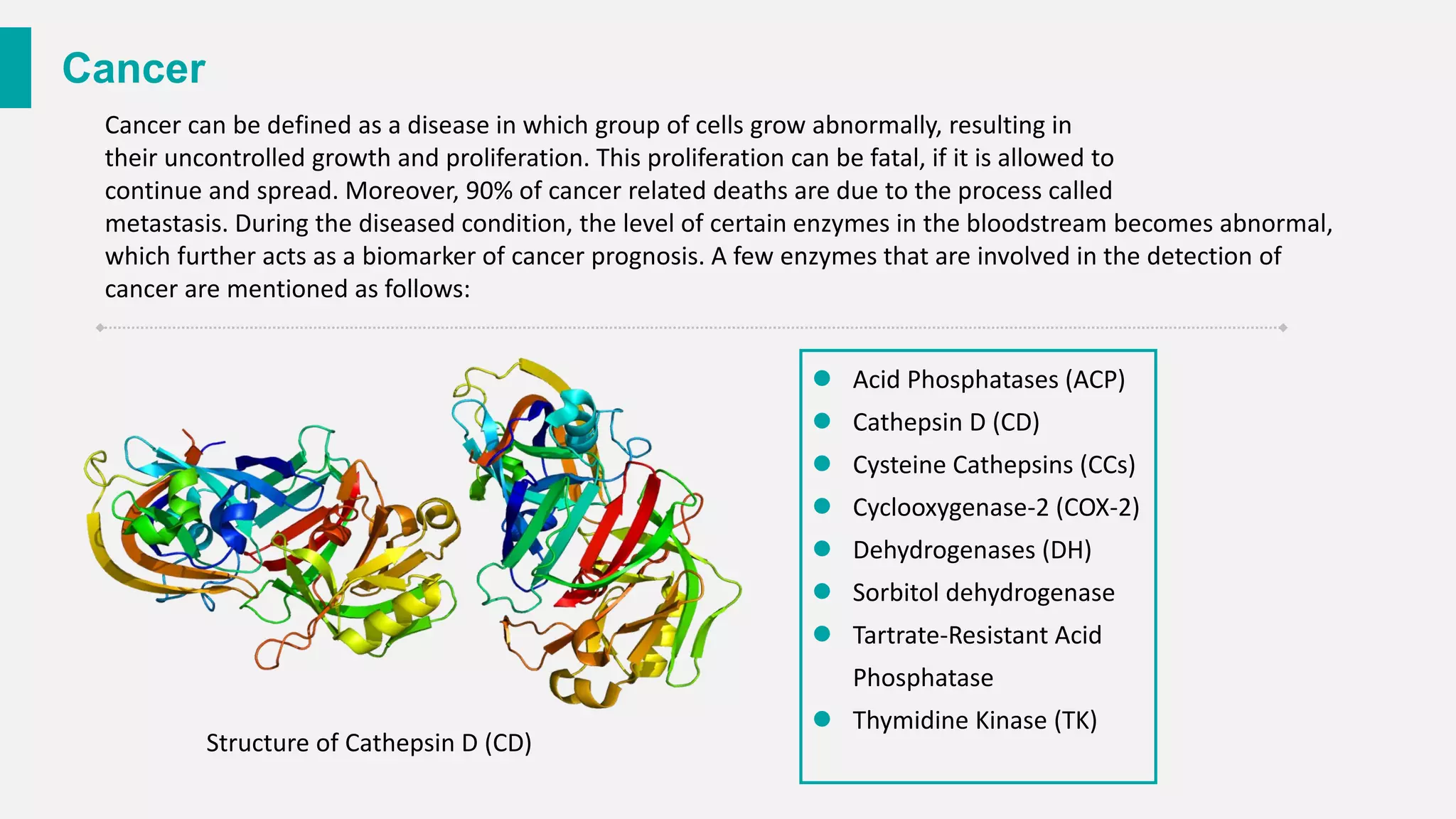 Cancer
Cancer can be defined as a disease in which group of cells grow abnormally, resulting in
their uncontrolled growth and proliferation. This proliferation can be fatal, if it is allowed to
continue and spread. Moreover, 90% of cancer related deaths are due to the process called
metastasis. During the diseased condition, the level of certain enzymes in the bloodstream becomes abnormal,
which further acts as a biomarker of cancer prognosis. A few enzymes that are involved in the detection of
cancer are mentioned as follows:
⚫ Acid Phosphatases (ACP)
⚫ Cathepsin D (CD)
⚫ Cysteine Cathepsins (CCs)
⚫ Cyclooxygenase-2 (COX-2)
⚫ Dehydrogenases (DH)
⚫ Sorbitol dehydrogenase
⚫ Tartrate-Resistant Acid
Phosphatase
⚫ Thymidine Kinase (TK)
Structure of Cathepsin D (CD)
 