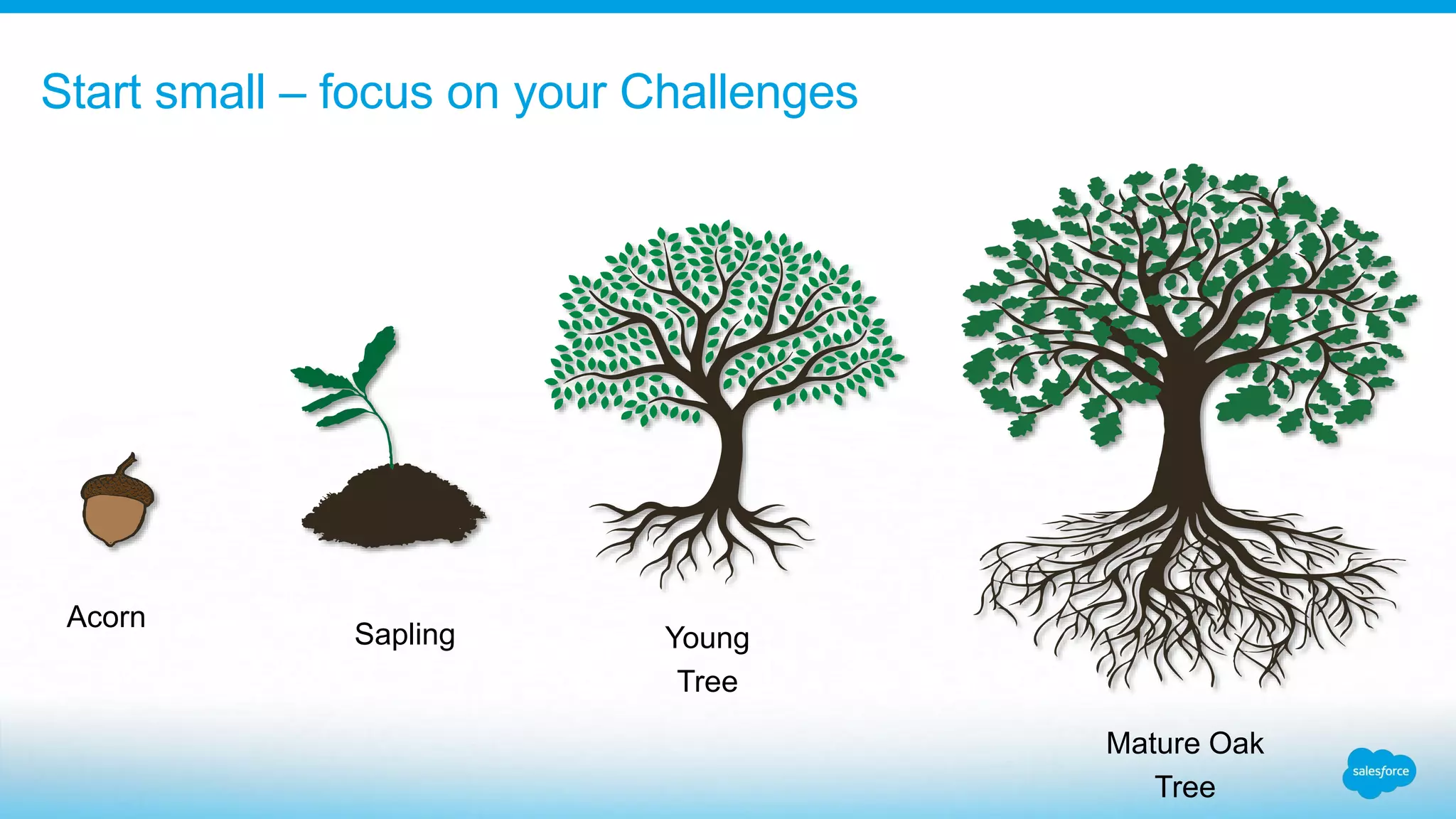 Start small – focus on your Challenges
Mature Oak
Tree
Acorn
Sapling Young
Tree
 