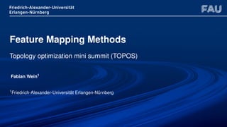 Introduction to the Feature Mapping method | PDF