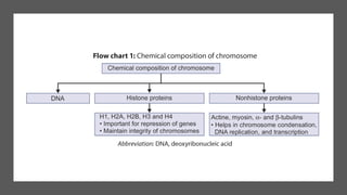 Features of clinical genetics by dr yogesh | PDF