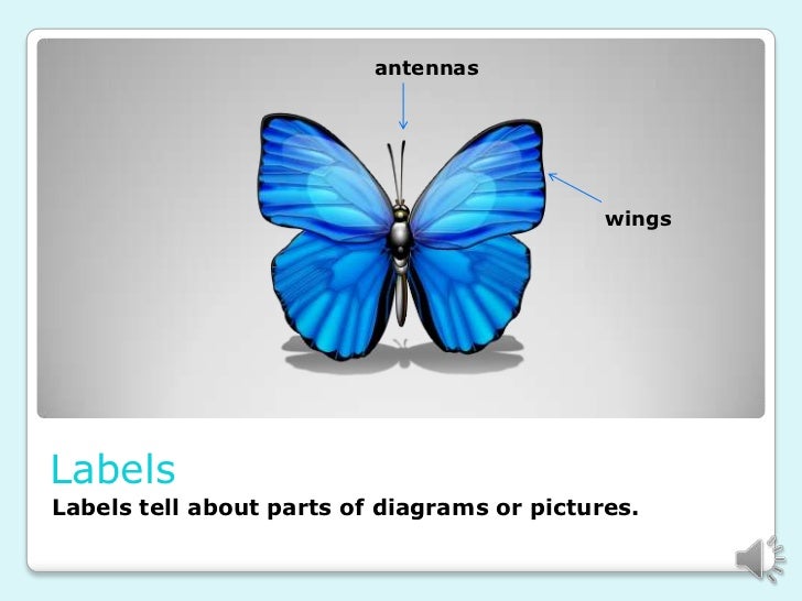 Features of nonfiction texts