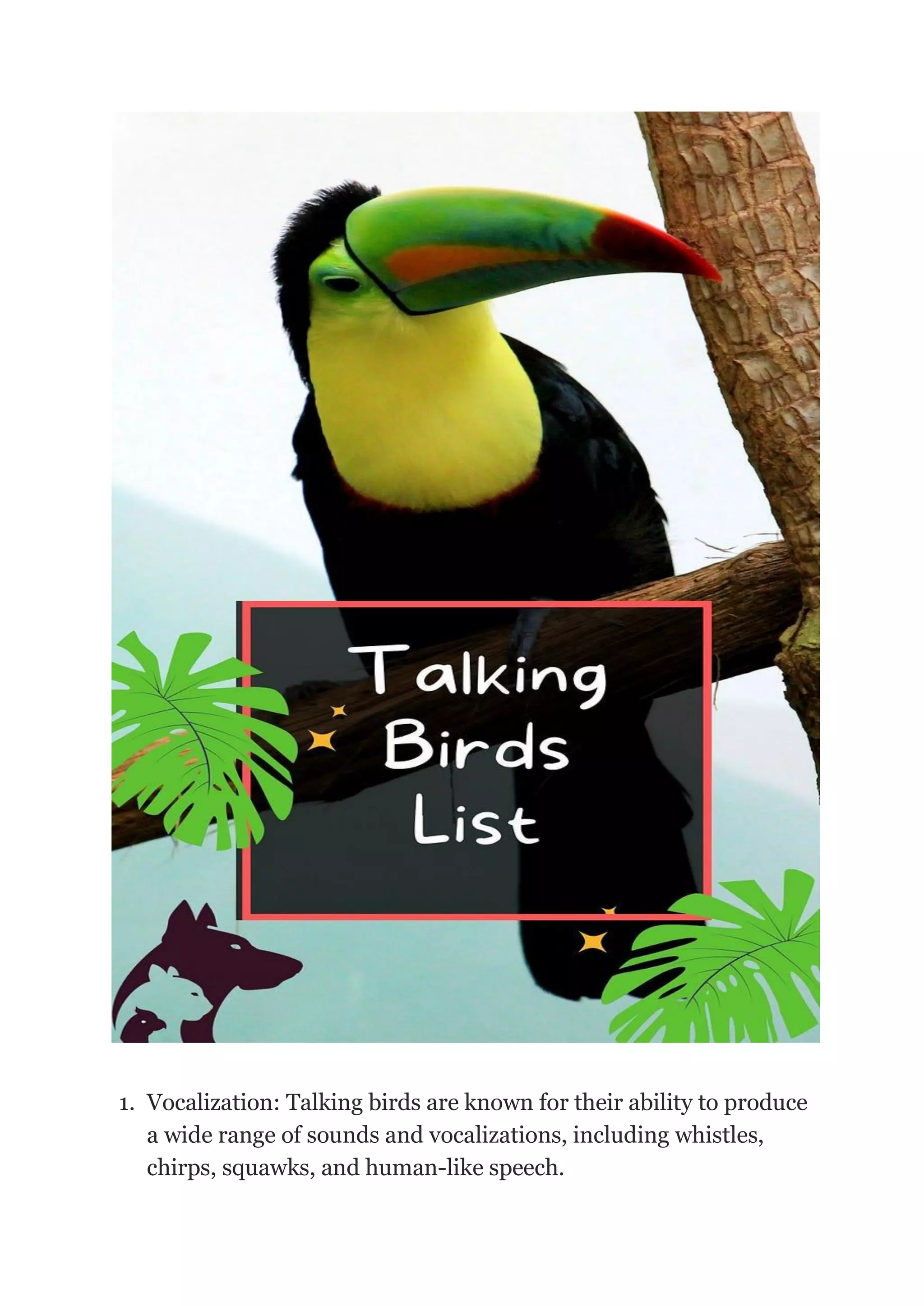 Features of talking birds-pets devotee.pdf