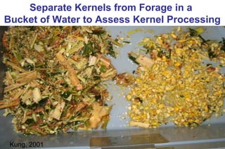 Forage Fermentation: How to Make Good Silage | PPT
