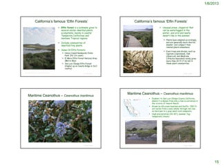 1/6/2013



                           California’s famous ‘Elfin Forests’                                                                               California’s famous ‘Elfin Forests’
                                                                         Elfin forest is a nickname given to                                                                                         Unusual areas: chaparral that
                                                                          several similar dwarfed plants                                                                                               can be waterlogged in the
                                                                          ecosystems, mainly in coastal                                                                                                winter, and arid and nearly
                                                                          Temperate Californian and                                                                                                    desert-like in the summer
                                                                          montane Tropical regions
                                                                                                                                                                                                          Plants have adapted accordingly,
                                                                         Include communities of                                                                                                           and are generally much shorter,
                                                                          dwarfed/tiny plants.                                                                                                             smaller, and compact than
                                                                                                                   http://blog.slocountyhomes.com/2009/03/elfin-forest-boardwalk-trail.html/
                                                                                                                                                                                                           related plants elsewhere.
                                                                         Some CA Elfin Forests:
                                                                                                                                                                                                          Even trees and shrubs, such as
                                                                            Henry Cowell Redwoods State                                                                                                   Cypress (Cupressus), Oak
                                                                             Park (N/ CA coast)                                                                                                            (Quercus), and Madrone
                                                                            El Moro Elfin Forest Natural Area                                                                                             (Arbutus menziesii) rarely grow
                                                                             (Morro Bay)                                                                                                                   more than 20 ft (7 m) tall in
                                                                            San Luis Obispo Elfin Forest                                                                                                  these plant communities.
                                                                             (Higher up on Cuesta Ridge in SLO
                                                                             county).
http://www.tripadvisor.com/Attraction_Review-g32661-d2169512-Reviews-
Elfin_Forest_Preserve-Los_Osos_San_Luis_Obispo_County_California.html                            © Project SOUND   http://www.kayharden.com/galy16b.html                                                                        © Project SOUND




                                                                                                                           Maritime Ceanothus – Ceanothus maritimus
       Maritime Ceanothus – Ceanothus maritimus
                                                                                                                                                                                        Endemic to San Luis Obispo County California,
                                                                                                                                                                                         where it is known from only a few occurrences in
                                                                                                                                                                                         the vicinity of Hearst Ranch.
                                                                                                                                                                                        Grows on old ocean beaches and bluffs < 500 ft;
                                                                                                                                                                                         soil varies from a near adobe through red clay
                                                                                                                                                                                         on hard pan to a gray sand-rock composite
                                                                                                                                                                                        High precipitation (20-30”); summer fog;
                                                                                                                                                                                         temperate climate
                                                                                                                        http://ucjeps.berkeley.edu/cgi-bin/get_JM_treatment.pl?6586,6589,6625




                                                                                                                                                                                                        © 2011 Chris Winchell
           © 2006 Steve Matson
                                                                                                                         http://www.laspilitas.com/nature-of-california/plants/ceanothus-maritimus
                                                                                                 © Project SOUND                                                                                                                © Project SOUND




                                                                                                                                                                                                                                                       15
 