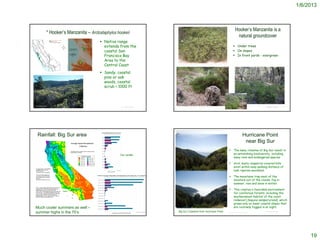 1/6/2013



                                                                                                                                                                                                             Hooker’s Manzanita is a
                   * Hooker’s Manzanita – Arctostaphylos hookeri
                                                                                                                                                                                                              natural groundcover
                                                                                  Native range
                                                                                   extends from the                                                                                                       Under trees
                                                                                   coastal San                                                                                                            On slopes
                                                                                   Francisco Bay                                                                                                          In front yards - evergreen
                                                                                   Area to the                   http://absbonsai.org/gallery/displayimage.php?pid=834

                                                                                   Central Coast               http://128.253.177.181/imgs/dws/r/Ericaceae_Arctostaphylos_hookeri_18909.html




          http://www.elkhornsloughctp.org/factsheet/factsheet.php?SPECIES_ID=1    Sandy, coastal
                                                                                   pine or oak
                                                                                   woods, coastal
                                                                                   scrub < 1000 ft



© 1991 David Graber                                                                                                                                                                                           http://www.laspilitas.com/nature-of-california/plants/arctostaphylos-hookeri-wayside-manzanita
                                                                                            © Project SOUND    http://www.yerbabuenanursery.com/viewplant.php?pid=173                                                                                            © Project SOUND




    Rainfall: Big Sur area                                                                                                                                                                                                Hurricane Point
                                                                                                                                                                                                                           near Big Sur
                                                                                                                                                                                                         The many climates of Big Sur result in
                                                                                           Our rainfall                                                                                                   an astonishing biodiversity, including
                                                                                                                                                                                                          many rare and endangered species

                                                                                                                                                                                                         Arid, dusty chaparral-covered hills
                                                                                                              http://xasauantoday.com/2011/09/16/serra-hill/                                              exist within easy walking distance of
                                                                                                                                                                                                          lush riparian woodland.

                                                                                                                                                                                                         The mountains trap most of the
                                                                                                                                                                                                          moisture out of the clouds; fog in
                                                                                                                                                                                                          summer, rain and snow in winter.

                                                                                                                                                                                                         This creates a favorable environment
                                                                                                                                                                                                          for coniferous forests, including the
                                                                                                                                                                                                          southernmost habitat of the coast
                                                                                                                                                                                                          redwood (Sequoia sempervirens), which
                                                                                                                                                                                                          grows only on lower coastal slopes that
 Much cooler summers as well –                                                                                http://www.cs.berkeley.edu/~karthik/pics/2005-06-1-BigSur/web/html/dscf0076.html
                                                                                                                                                                                                          are routinely fogged in at night.
 summer highs in the 70’s                                                                   © Project SOUND    Big Sur Coastline from Hurricane Point                                            http://en.wikipedia.org/wiki/Big_Sur
                                                                                                                                                                                                                                                                 © Project SOUND




                                                                                                                                                                                                                                                                                                                    19
 