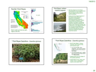 1/6/2013



Rainfall: Point Reyes                                     Point Reyes: northern
                                                                                                                                             Maritime chaparral at Point Reyes
                                                           maritime chaparral                                                        
                                                                                                                                             intergrades with mixed evergreen forest
                                                                                                                                             and is bordered by coast redwood
                                                                                                                                             (Sequoia sempervirens) groves and
                                                                                                                                             riparian woodlands
                                      Our rainfall
                                                                                                                                            Common maritime chaparral species at
                                                                                                                                             Point Reyes include Eastwood's
                                                                                                                                             manzanita (Arctostaphylos
                                                                                                                                             glandulosa), glossyleaf manzanita
                                                                                                                                             (Arctostaphylos nummularia), chamise
                                                                                                                                             (Adenostoma fasciculatum), giant
                                                                                                                                             chinquapin (Chrysolepis chrysophylla),
                                                          http://www.meetup.com/bay-areakayakers/events/12581031/



                                                                                                                                             buckbrush (Ceanothus cuneatus), and
                                                                                                                                             chaparral pea (Pickeringia montana). Also
                                                                                                                                             of importance in this vegetation type are
                                                                                                                                             the rare species Bolinas Manzanita
                                                                                                                                             (Arctostaphylos virgata), Point Reyes
                                                                                                                                             ceanothus (Ceanothus gloriosus var.
Much cooler summers as well -                                                                                                                exaltatus), and Mason's ceanothus
                                                                                                                                             (Ceanothus masonii).
highs in the 50’s                      © Project SOUND                                                                                                                                                     © Project SOUND
                                                         http://www.math.cmu.edu/~pikhurko/Gallery/110320PointReyes/33.html         http://roadjournals.viamagazine.com/2012/01/17/point-reyes-national-seashore-
                                                                                                                                    hiking-tamales-point-trail/




 * Point Reyes Ceanothus – Ceanothus gloriosus                  * Point Reyes Ceanothus – Ceanothus gloriosus
                                                                                                                                              North Coast (Marin, Sonoma
                                                                                                                                               Counties), San Francisco Bay,
                                                                                                                                               north Central Coast
                                                                                                                                                        var. porrectus (Mt. Vision
                                                                                                                                                         ceanothus) - rare variety endemic
                                                                                                                                                         to Marin County in the vicinity of
                                                                                                                                                         Point Reyes
                                                            http://ucjeps.berkeley.edu/cgi-bin/get_JM_treatment.pl?6586,6589,6608

                                                                                                                                                        var. gloriosus (glory mat) - smaller
                                                                                                                                                         mat-forming variety known mainly
                                                                                                                                                         from Marin County

                                                                                                                                              Seaside bluffs and the slopes of
                                                                                                                                               the coastal mountains

                                                                                                                                              Coastal Bluff scrub, closed cone
                                                                                                                                               conifer forest, coastal dunes,
  © 2006 Steve Matson
                                                                                                                                               coastal scrub below 1700'
                                       © Project SOUND                                                                                                                                                     © Project SOUND
                                                          http://picasaweb.google.com/lh/photo/8u9p--NTHGj834b-n31gzg




                                                                                                                                                                                                                                  26
 