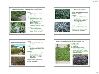 1/6/2013



       Ceanothus gloriosus: varieties differ in height, habit                                                                                                                                                                      Flowers: prolific
                                                                                          Size:                                                                                                                          Blooms: in spring, usually Mar-Apr in
                                                                                                2-6 ft tall (depends on var.)                                                                                               western L.A. County
                                                                                                6-12+ ft wide
                                                                                                                                                                                                                          Flowers:
                                                                                          Growth form:                                                                                                                           Cluster of small flowers typical of
                                                                                                                                                                                                                                   the ceanothus
                                                                                             Var exaltatus: large shrub
                                                                                                                                                                                                                                  Medium blue color – gives a nice
                                                                                             Var. gloriosus: low, almost            http://www.easybloom.com/plantlibrary/plant/point-reyes-creeper
                                                                                                                                                                                                                                   pastel look to spring garden
http://beling.net/articles/about/Ceanothus_gloriosus                                          mat-like groundcover, but                                                                                                           Loaded with blooms
                                                                                              may be mounded
Gary A. Monroe @ USDA-NRCS PLANTS Database

                                                                                                                                                                                                                                  Pollinated by bumblebees and
                                                                                             Bark red aging to gray                                                                                                               other large bees
                                                                                             Evergreen; fairly fast growth
                                                                                                                                                                                                                          Fruits: knobby, dry capsule – birds
                                                                                          Foliage:                                                                                                                          eat the seeds
                                                                                             Leaves bright, fresh to                                                                                                     Vegetative reproduction: stems
                                                                                               medium green, shiny on top                                                                                                    root where they touch ground
                                                                                             May be toothed like holly
                                                                                                                                      http://oregonstate.edu/dept/ldplants/cegl2a.htm
                                                                                                                   © Project SOUND                                                                                                                                           © Project SOUND




                                                                                          Soils:                                        Ceanothus gloriosus: Ground cover for:
  Plant Requirements                                                                          Texture: sandy or rocky best
                                                                                                                                                                                                                            Under trees
                                                                                              pH: any local
                                                                                                                                                                                                                            Parking strips
                                                                                          Light:                                                                                                                           Side yards
                                                                                                Full sun only on immediate coast
                                                                                                                                                                                                                            Front yard: with natural
                                                                                                Afternoon shade needed in most                                                                                              associates Baccharis pilularis,
                                                                                                 gardens
                                                                                                                                                                                                                             Diplacus aurantiacus, Frangula
                                                                                          Water:                                                                                                                            californica, Sedum spathulifolium,
                                                                                              Winter: supplement it needed;                                                                                                 Rhamnus californica
                                                                                               gets 30”/year or so in nature
                                                                                              Summer: likes some summer
   http://atlantis.mendocino.edu/jxerogeanes/Plant%20ID2/Forms/DispForm.aspx?ID=301&Ro
   otFolder=%2Fjxerogeanes%2FPlant%20ID2%2FWeek%207

                                                                                               water – Zone 2 or 2-3 best in
                                                                                               local gardens

                                                                                          Fertilizer: none; likes poor soils

                                                                                          Other: organic mulch

                                                                                                                                        http://www.metrofieldguide.com/portfolio/flowering/ceanothusgloriosus/ceanothu
                                                                                                                                        sgloriosus.htm
                                                                                                                                                                                                                              http://www.wallyhood.org/wp-content/uploads/2011/05/IMG_1727.jpg
                                                                                                                   © Project SOUND                                                                                                                                           © Project SOUND




                                                                                                                                                                                                                                                                                                      27
 