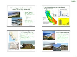 1/6/2013




                 Not surprisingly, our local flora has the most in                                                                                                           California rainfall – quite a range, even
                     common with that of the Central Coast                                                                                                                   along our coasts

                                                                                                   The closer the native
                                                                                                    home of a plant to our
                                                                                                    own, the more similar are
                                                                                                    the:
                                                                                                                 Soils
                                                                                                                 Temperatures                                                                                                                                  http://www.abovetopsecret.com/forum/thread775456/pg2



http://coast-santabarbara.org/
                                                                                                                 Rainfall
                                                                                                                 Etc
                                                                                                   Plants from nearby
                                                                                                    coastal areas are easier
                                                                                                    to grow than those from
                                                                                                    further up the coast


                                                                                                                                           © Project SOUND                                                                                                                                     © Project SOUND




                                                                             Our first stop: Point Sal                                                                                                                                         Home to a unique flora
                                                                      Located in the northwestern part of                                                                                                                                      Transition zone between N. & S.
                                                                       Santa Barbara County, near the city                                                                                                                                       CA: unique plant species
                                                                       of Guadalupe                                                                                                                                                              assemblages.
                                                                      Between Vandenberg Air Force Base                                                                                                                                        A mosaic of coastal sage scrub
                                                                       and the Guadalupe Dunes.                                                                                                                                                  and foothill needle-grass with
                                                                      Sandy/rocky promontory                                                                                                                                                    wildflowers, Giant Corepopsis
                                                                                                                                                                                                                                                Much influenced by ocean
                                 *                                                                                                                                       http://kcbx.net/~bdenneen/

                                                                                                                                                                                                                                                 breezes, salt spray – like our
                                                                                                                                                                                                                                                 own immediate coast




                                                                              http://www.cityprofile.com/california/photos/36781-guadalupe-point-sal-state-beach1.html

 http://www.localhikes.com/HikeData.ASP?DispType=1&ActiveHike=0&GetHikesStateID=&ID=42                                                     © Project SOUND                                                                                                                                     © Project SOUND
 66                                                                                                                                                                         http://soundwaves.usgs.gov/2001/09/fieldwork2.html
                                                                                                                                                                                                 http://www.ryono.net/pointsal/pointsal.html      http://blogbisogno.wordpress.com/2009/08/page/2/




                                                                                                                                                                                                                                                                                                                             4
 