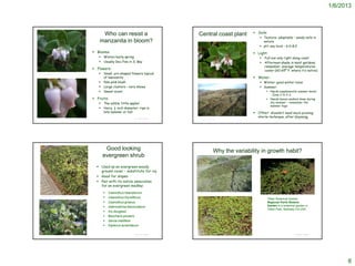 1/6/2013



                                                                                          Who can resist a                                                                                  Soils:
                                                                                                                                     Central coast plant
                                                                                                                                                                                               Texture: adaptable – sandy soils in
                                                                                         manzanita in bloom?                                                                                    nature
                                                                                                                                                                                               pH: any local – 6.0-8.0
                                                                                      Blooms:                                                                                              Light:
                                                                                           Winter/early spring                                                                                     Full sun only right along coast
                                                                                           Usually Dec-Feb in S. Bay                                                                               Afternoon shade in most gardens;
                                                                                                                                                                                                     remember, average temperatures
                                                                                      Flowers:                                                                                                      cooler (60-65º F. where it’s native)
© 2006 Steve Matson                                                                        Small, urn-shaped flowers typical
                                                                                            of manzanita                                                                                    Water:
                                                                                           Pale pink blush                                                                                    Winter: good winter rains
                                                                                           Large clusters – very showy                                                                        Summer:
                                                                                           Sweet scent                                                                                                 Needs supplemental summer water
                                                                                                                                                                                                         – Zone 2 to 2-3
                                                                                      Fruits:                                                                                                          Needs leaves washed down during
                                                                                           The edible ‘little apples’                                                                                   dry summer – remember the
                                                                                                                                                                                                         summer fogs
                                                                                           Hairy, ½ inch diameter; ripe in
                                                                                            late summer or fall                                                                             Other: shouldn’t need much pruning;
                                                                                                                 © Project SOUND
                                                                                                                                                                                             sterile technique, after blooming
                                                                                                                                                                                                                      © Project SOUND
                                                                                                                                         © 2002 David Graber




                                                                                             Good looking                                                   Why the variability in growth habit?
                                                                                            evergreen shrub
                                                                                        Used as an evergreen woody
                                                                                         ground cover – substitute for ivy
                                                                                        Good for slopes
                                                                                        Pair with its native associates
                                                                                         for an evergreen medley:
                                                                                               Ceanothus hearstiorum               © 2011 Chris Winchell
                                                                                                                                                                                                  © 2006 Steve Matson


    http://www.laspilitas.com/nature-of-california/plants/arctostaphylos-cruzensis
                                                                                               Ceanothus thyrsiflorus                                                                                   Tilden Botanical Garden
                                                                                               Ceanothus griseus                                                                                        Regional Parks Botanic
                                                                                               Adenostoma fasciculatum                                                                                  Garden is a botanical garden in
                                                                                                                                                                                                         Tilden Park, Berkeley CA USA
                                                                                               Iris douglasii
                                                                                               Baccharis pilularis
                                                                                               Salvia mellifera
                                                                                               Diplacus aurantiacus

                                                                                                                                   http://en.wikipedia.org/wiki/Arctostaphylos_cruzensis
                                                                                                                 © Project SOUND                                                                                              © Project SOUND




                                                                                                                                                                                                                                                      8
 