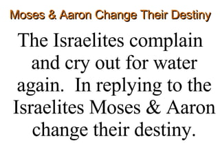 Moses & Aaron Change Their Destiny ,[object Object]