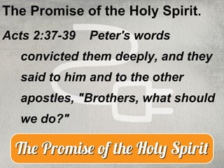 Plugged In! The Promise of the Holy Spirit | PPT
