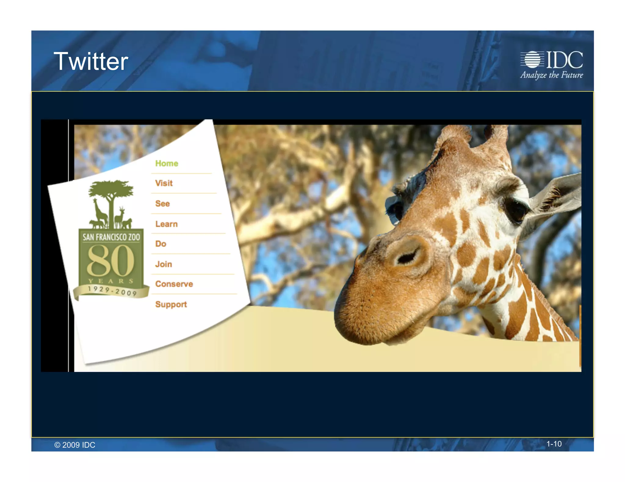 Twitter




© 2009 IDC   1-10
 