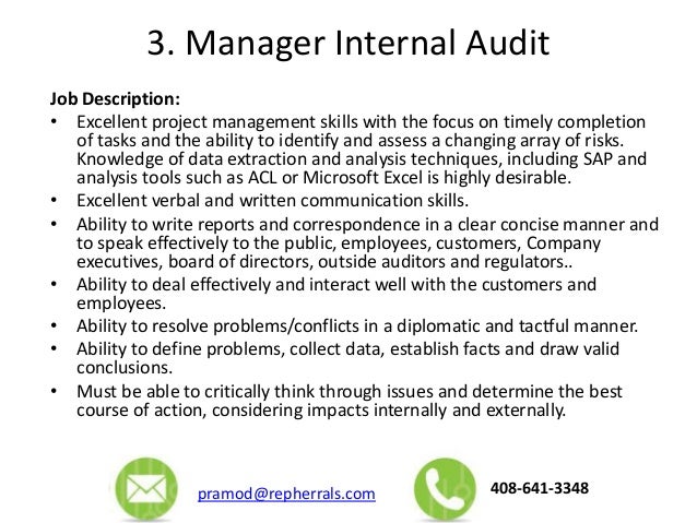 it auditor job description