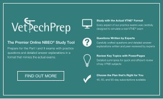 Vet Tech February 2016 Crossword Puzzle