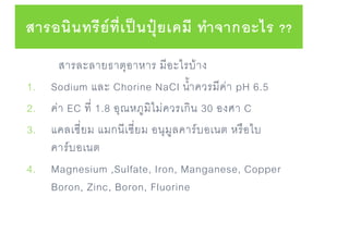 สารละลายธาตุอาหาร มีอะไรบ้าง
1. Sodium และ Chorine NaCl น้าควรมีค่า pH 6.5
2. ค่า EC ที่ 1.8 อุณหภูมิไม่ควรเกิน 30 องศา C
3. แคลเซี่ยม แมกนีเซี่ยม อนุมูลคาร์บอเนต หรือไบ
คาร์บอเนต
4. Magnesium ,Sulfate, Iron, Manganese, Copper
Boron, Zinc, Boron, Fluorine
สารอนินทรีย์ที่เป็นปุ๋ยเคมี ทาจากอะไร ??
 