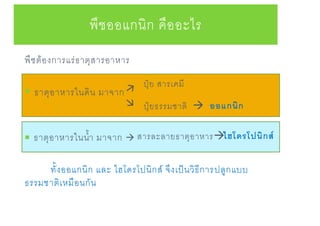 พืชต้องการแร่ธาตุสารอาหาร
 ธาตุอาหารในดิน มาจาก
 ธาตุอาหารในน้า มาจาก 
ทั้งออแกนิก และ ไฮโดรโปนิกส์ จึงเป็นวิธีการปลูกแบบ
ธรรมชาติเหมือนกัน
พืชออแกนิก คืออะไร
ปุ๋ย สารเคมี
ปุ๋ยธรรมชาติ 
สารละลายธาตุอาหาร
ออแกนิก
ไฮโดรโปนิกส์
 
