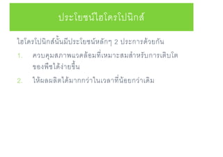 ไฮโดรโปนิกส์นั้นมีประโยชน์หลักๆ 2 ประการด้วยกัน
1. ควบคุมสภาพแวดล้อมที่เหมาะสมสาหรับการเติบโต
ของพืชได้ง่ายขึ้น
2. ให้ผลผลิตได้มากกว่าในเวลาที่น้อยกว่าเดิม
ประโยชน์ไฮโดรโปนิกส์
 