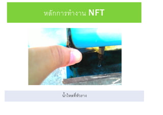 หลักการทางาน NFT
น้าไหลที่หัวราง
 