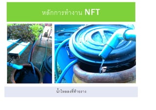 หลักการทางาน NFT
น้าไหลลงที่ท้ายราง
 