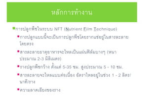 หลักการทางาน
การปลูกพืชในระบบ NFT (Nutrient Film Technique)
การปลูกแบบนี้จะเป็นการปลูกพืชโดยรากแช่อยู่ในสารละลาย
โดยตรง
สารละลายธาตุอาหารจะไหลเป็นแผ่นฟิล์มบางๆ (หนา
ประมาณ 2-3 มิลิเมตร)
รางปลูกพืชกว้าง ตั้งแต่ 5-35 ซม. สูงประมาณ 5 - 10 ซม.
สารละลายจะไหลแบบต่อเนื่อง อัตราไหลอยู่ในช่วง 1 - 2 ลิตร/
นาที/ราง
ความลาดเอียงของราง
 