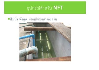 อุปกรณ์สาหรับ NFT
ปั๊มนา หัวดูด แช่อยู่ในบ่อสารละลาย
 