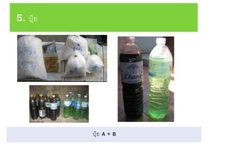 5. ปุ๋ย
ปุ๋ย A + B
 