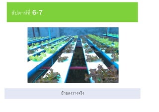 สัปดาห์ที่ 6-7
ย้ายลงรางจริง
 