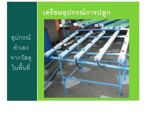 อุปกรณ์
ทาเอง
จากวัสดุ
ในพื้นที่
เตรียมอุปกรณ์การปลูก
 