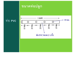 ท่อ PVC
ขนาดท่อปลูก
 