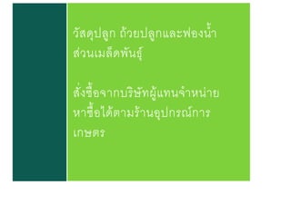 วัสดุปลูก ถ้วยปลูกและฟองน้า
ส่วนเมล็ดพันธุ์
สั่งซื้อจากบริษัทผู้แทนจาหน่าย
หาซื้อได้ตามร้านอุปกรณ์การ
เกษตร
 