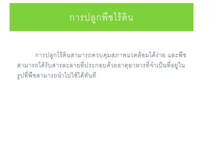 การปลูกไร้ดินสามารถควบคุมสภาพแวดล้อมได้ง่าย และพืช
สามารถได้รับสารละลายที่ประกอบด้วยธาตุอาหารที่จาเป็นที่อยู่ใน
รูปที่พืชสามารถนาไปใช้ได้ทันที
การปลูกพืชไร้ดิน
 