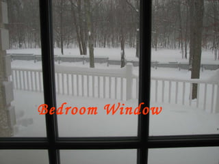 Bedroom Window 