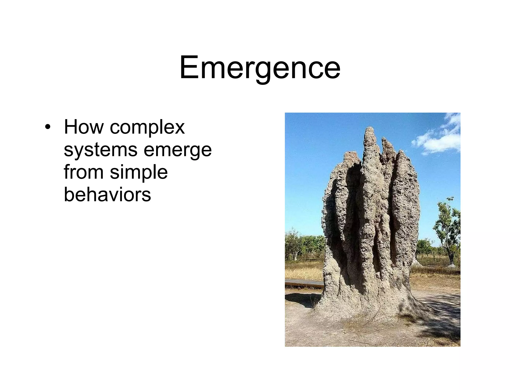 Emergence How complex systems emerge from simple behaviors