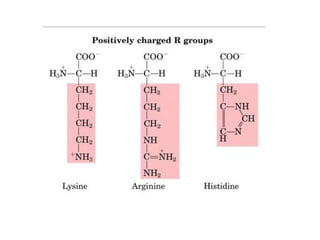 Structure of amino acids | PPTX