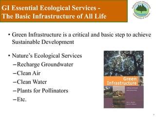 Feb green team presentation 4