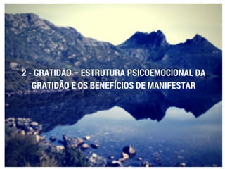 O Poder do Foco - Paulo Vieira - Febracis