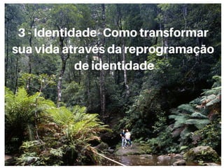 O Poder do Foco - Paulo Vieira - Febracis