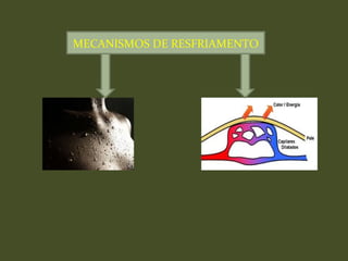 MECANISMOS DE RESFRIAMENTO
 