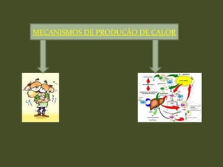 MECANISMOS DE PRODUÇÃO DE CALORMECANISMOS DE PRODUÇÃO DE CALOR
 