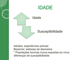 IDADE
Idade
Susceptibilidade
Adultos: experiências prévias
Bezerros: estresse da desmama
* Populações bovinas nunca expostas ao vírus:
diferenças de susceptibilidade
 