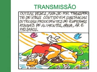 TRANSMISSÃO
 