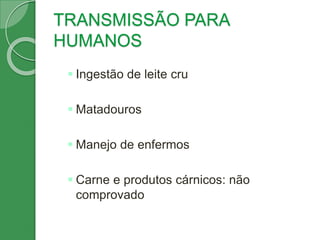 TRANSMISSÃO PARA
HUMANOS
 Ingestão de leite cru
 Matadouros
 Manejo de enfermos
 Carne e produtos cárnicos: não
comprovado
 