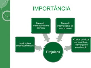 IMPORTÂNCIA
Prejuízos
Implicações
socioeconômicas
Mercado
internacional de
animais
Mercado
internacional de
subprodutos
Custos públicos
com controle.
Prevenção e
erradicação
 