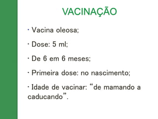 • Vacina oleosa;
• Dose: 5 ml;
• De 6 em 6 meses;
• Primeira dose: no nascimento;
• Idade de vacinar: “de mamando a
caducando”.
VACINAÇÃO
 